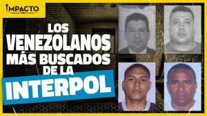 Impacto TDN: Los venezolanos más buscados por la Interpol (VIDEO)