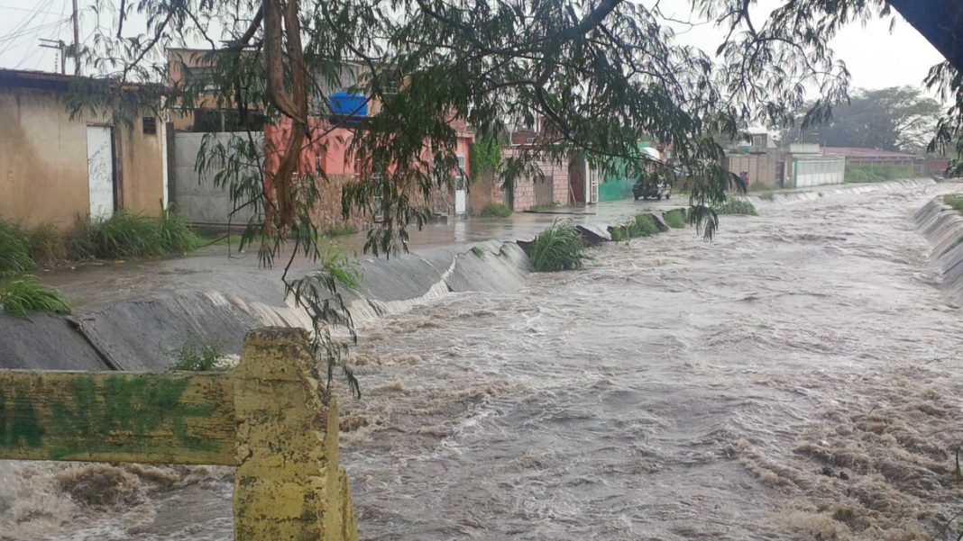 ¡Un chapuzón! Pese al peligro, jóvenes en Valencia se aventaron al río tras fuertes lluvias (Video)