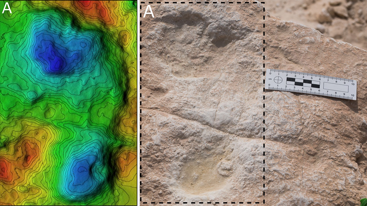 Hallan la evidencia más antigua de humanos de hace 120.000 años en Arabia