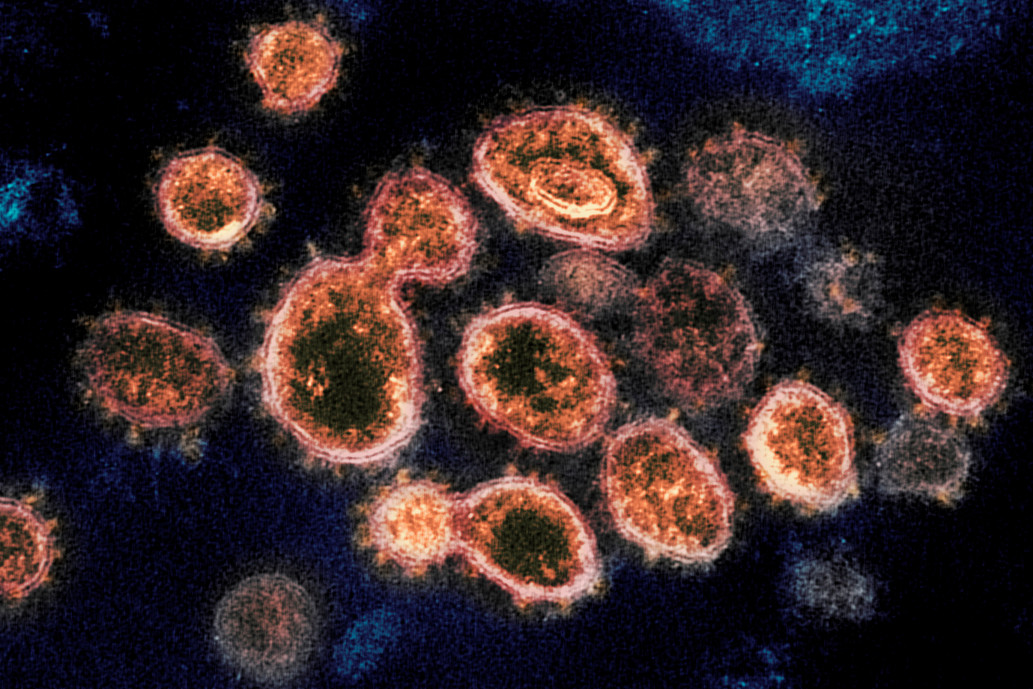 Descubren un truco esencial del ser humano para defenderse de virus y bacterias