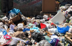 Cúmulos de basura en La Vega se convierten en focos de enfermedades (Video)