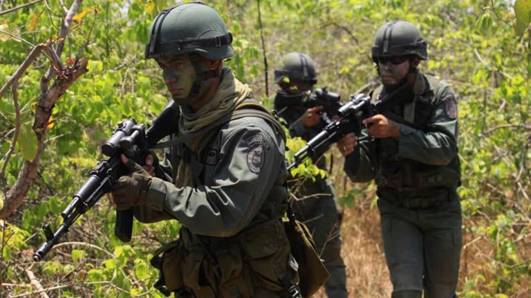 La razón por la que la Fuerza Armada desplegó la “Operación Jiwi” que ataca a guerrilleros de las Farc en territorio venezolano