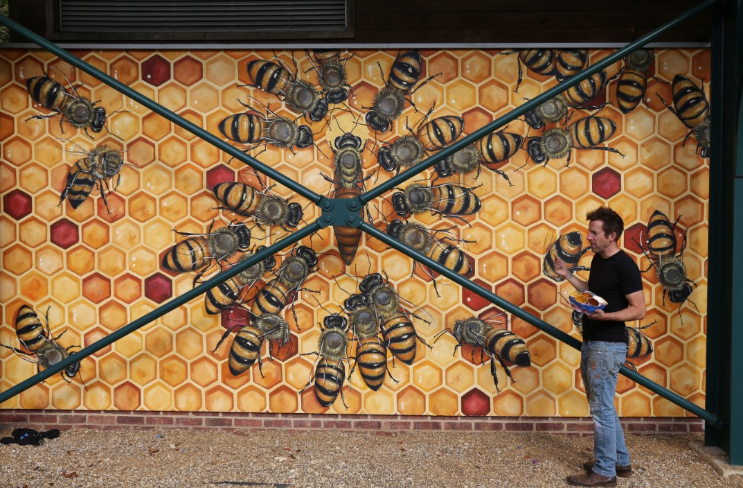 Muralista de Nueva York emprende misión de pintar a mano 50 mil abejas