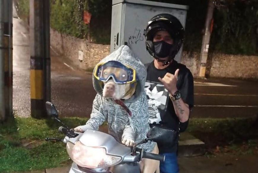 Impacto Mundo: La historia de Natasha, una pitbull que MANEJA moto en Colombia (Videos)