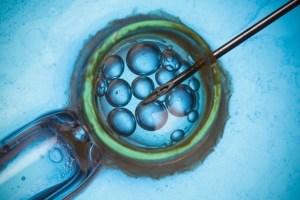 Portugal abrió la puerta a la inseminación “post-mortem”