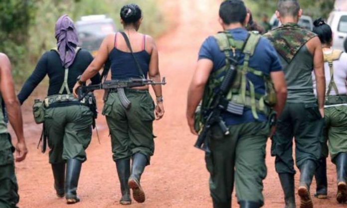 Grupos armados irregulares figuran como principales responsables de homicidios intencionales en Táchira