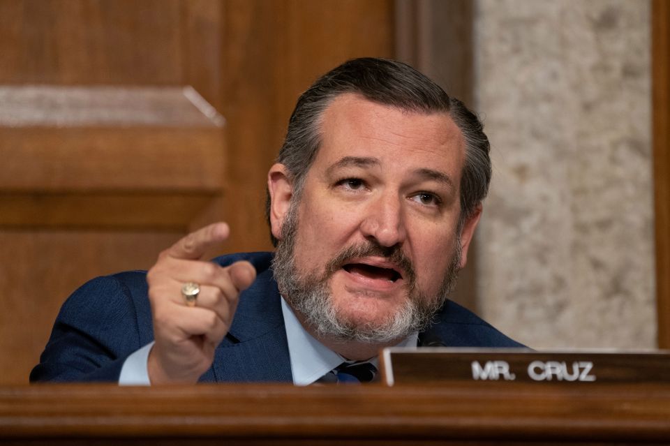 EN VIDEO: Senador Ted Cruz se tragó una mosca durante transmisión en Fox News