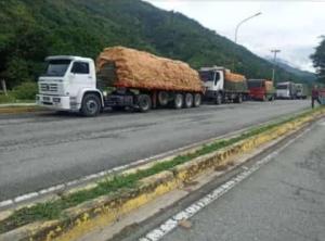 Vente Mérida: Mientras persista el control del régimen sobre el combustible, seguirán los altos costos de alimentos