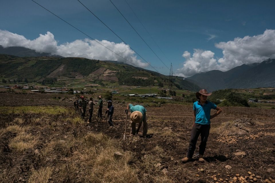 Costo de producción asfixia al campo venezolano