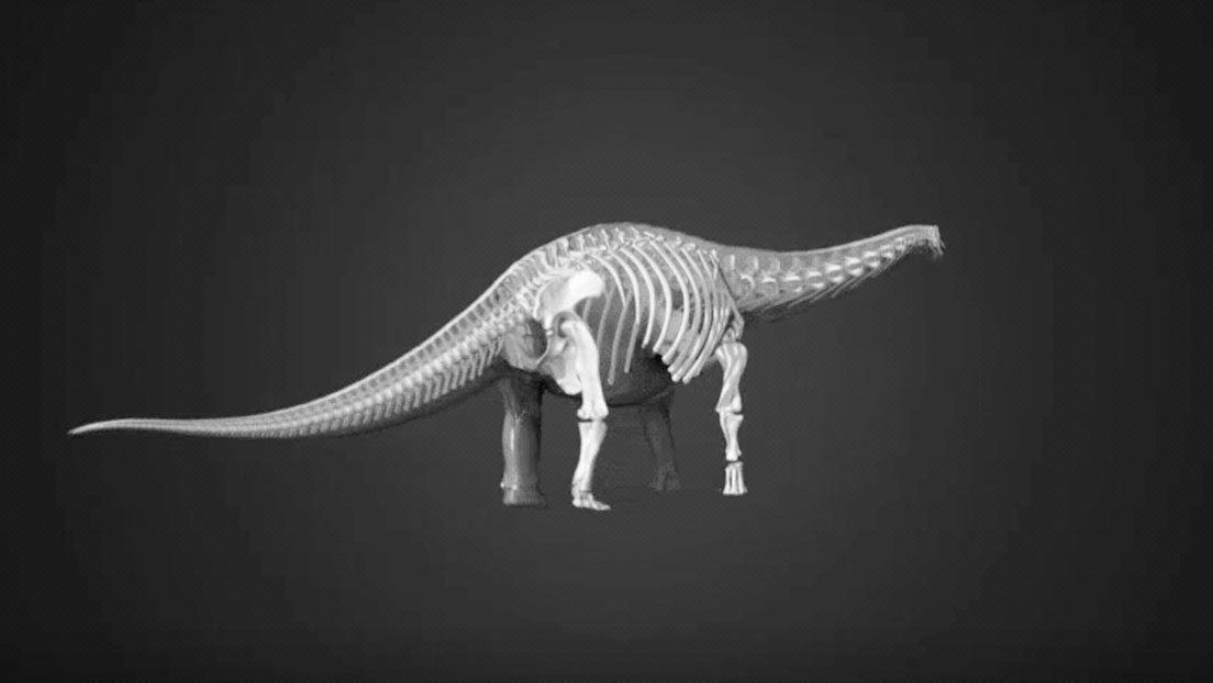 Los dinosaurios ya se extinguían antes de lo que se creía, apunta un nuevo estudio