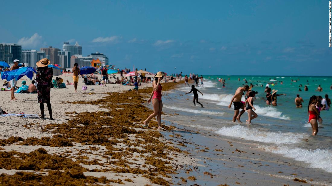 Mapa interactivo muestra casos de coronavirus en Florida