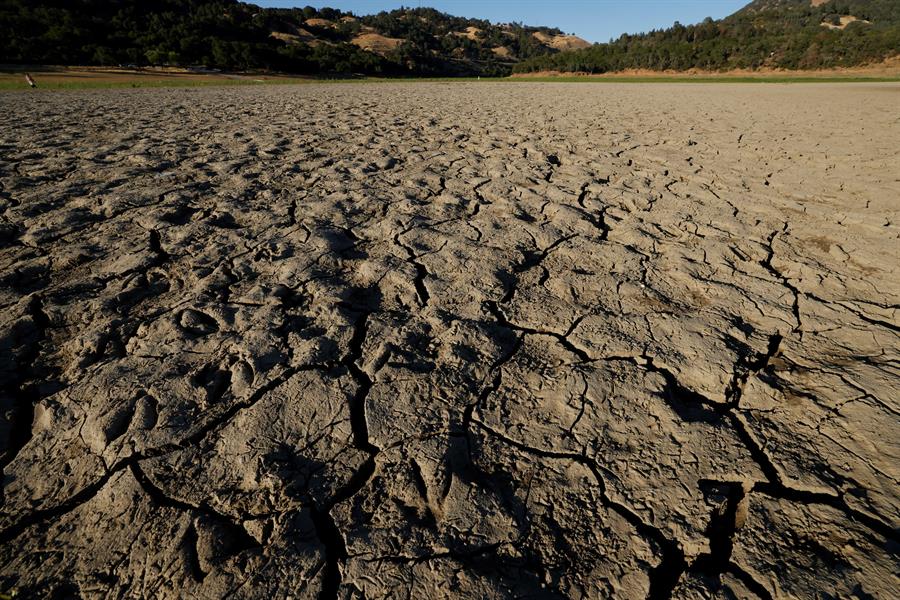 Potente ola de calor deja más de 100 muertos en Canadá y EEUU