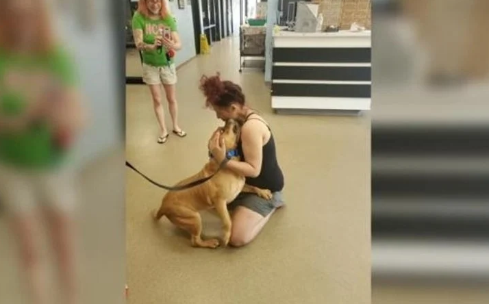 ¡Final feliz! Fue a adoptar una mascota y encontró a su perro que perdió hace años