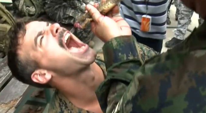 Comer escorpiones y beber sangre de cobras: Horrible ritual militar que se logró detener en Tailandia