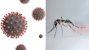 El Coronavirus y el dengue: Las diferencias entre síntomas y atención médica