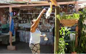 Habitantes de la isla de Coche obligados a consumir agua de lluvia ante la falta del servicio por tuberías
