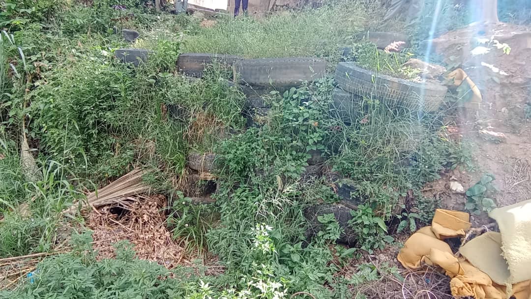 En Aragua, el desborde de aguas negras afectan a casas del barrio El Cementerio en El Consejo
