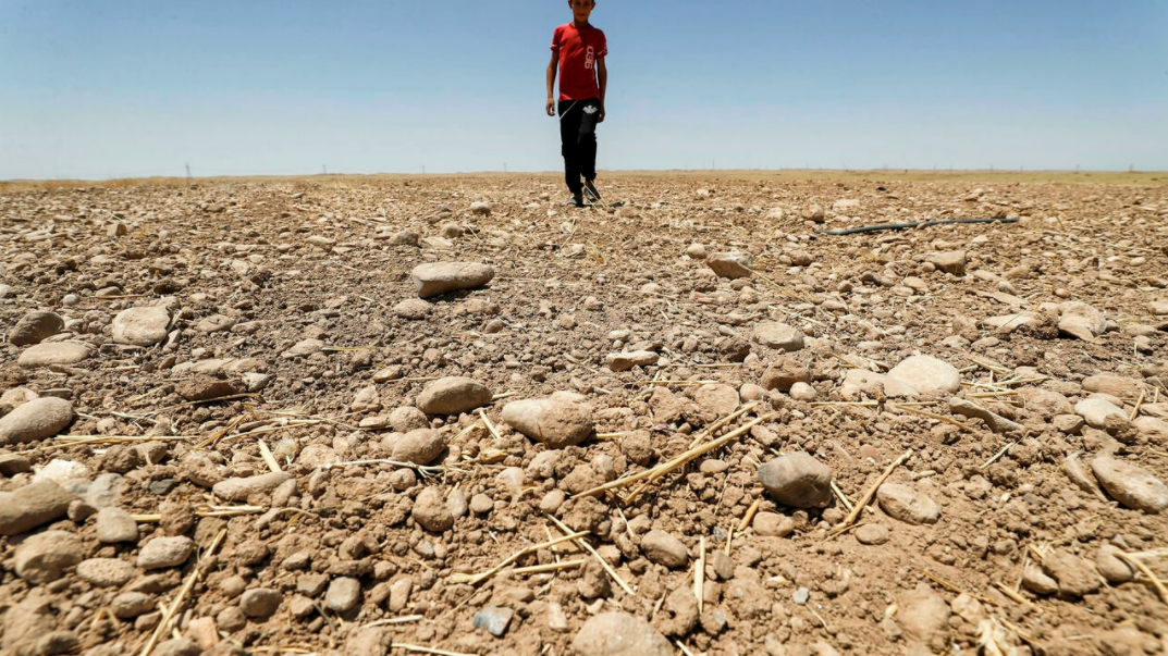 El cambio climático castiga doblemente a Medio Oriente con altas temperaturas y escasez de agua