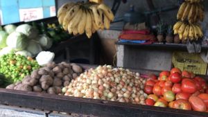 ¡Destrucción total! En un 80% cae la producción de cereales, hortalizas y frutas en Guárico