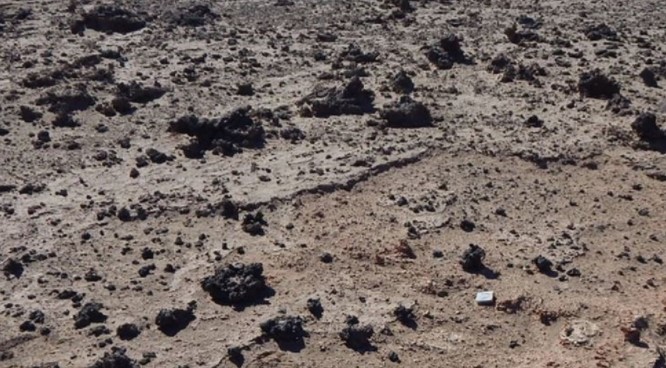 ¿Restos extraterrestres o fósiles vegetales?: La discusión científica por los vidrios de silicato hallados en el desierto de Atacama