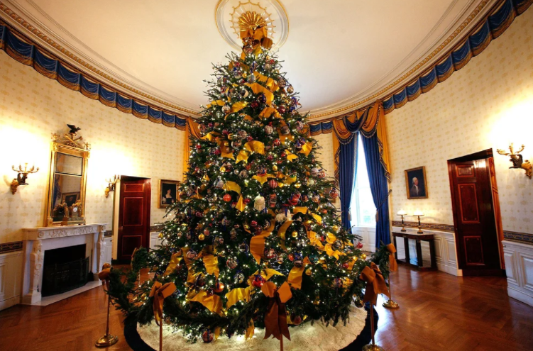 La historia del árbol de Navidad y del piloto de guerra que cambió la tradición mirando una vidriera y se hizo millonario