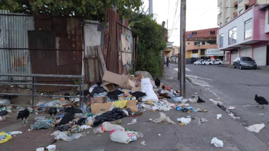 Así de olvidado tiene el gobernador chavista a Mérida, que hasta los zamuros merodean la basura en las calles