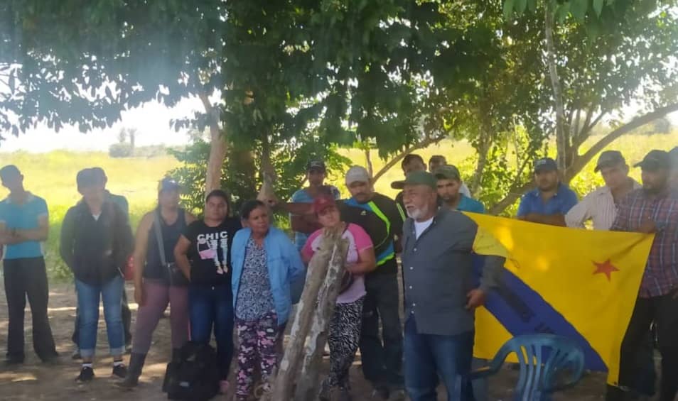 Apadrinados por Braulio Álvarez: Invasores arremeten contra productores del Hato Las Palmeras en Barinas