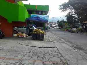 Comerciantes informales deberán cancelar impuestos en el municipio Andrés Bello de Táchira