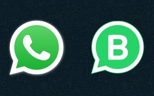 ¿No sabías que existía? Estas son las diferencias entre WhatsApp y su versión Business