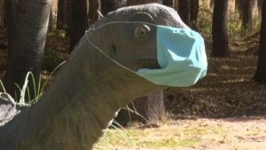 ¿El Covid extinguió a los dinosaurios?: Científicos investigan un “coronasaurio”