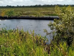 Falta de mantenimiento generó un nuevo derrame petrolero en el río Boquerón al sur de Monagas