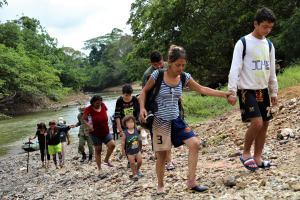 Panamá contabilizó que 80 mil venezolanos han cruzado la selva del Darién en lo que va del año