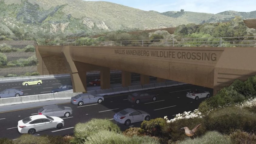 Comenzó en California la construcción del puente para animales silvestres más grande del mundo
