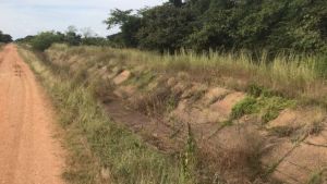 Productores de Guárico exigen rehabilitación del sistema de riego para mantener sus cosechas