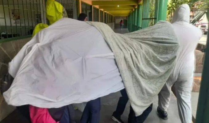 Ataque de abejas en una escuela dejó múltiples lesionados en Carabobo