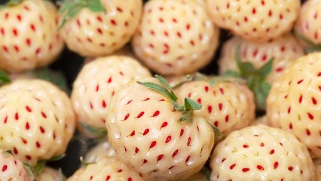 Qué son las “pineberrys”, las fresas blancas con sabor a piña que triunfan en redes