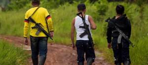¿Cuántas estructuras criminales operan en la frontera venezolana?