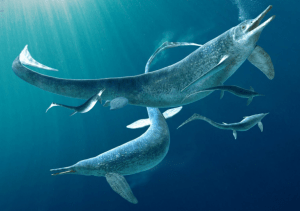 Descubren en Suiza los fósiles de dos antiguas especies marinas desconocidas