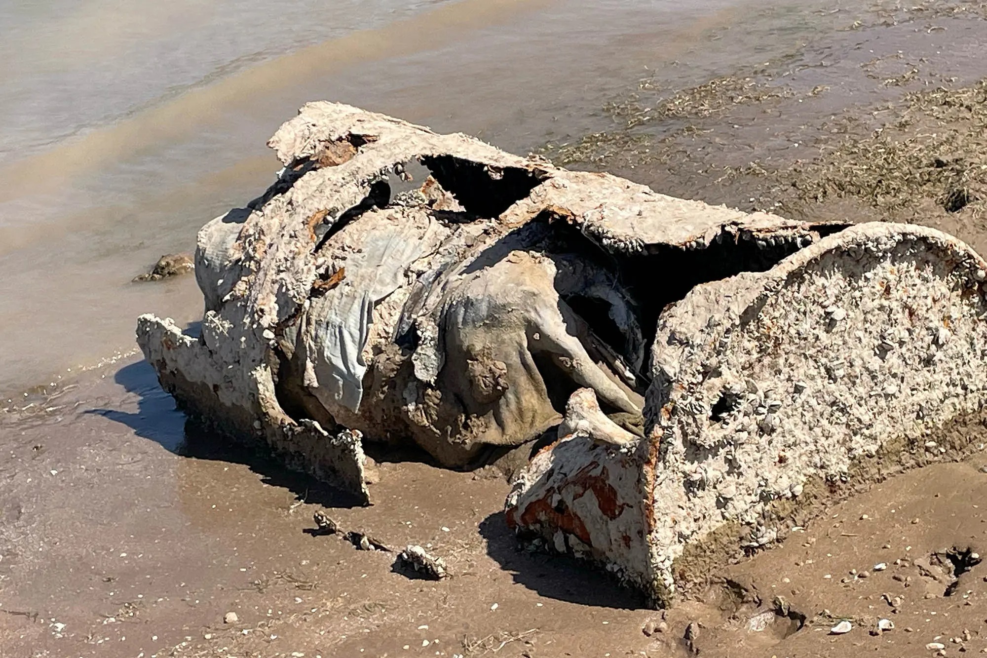 Macabro hallazgo en Nevada: Descubren barril con restos humanos en descomposición