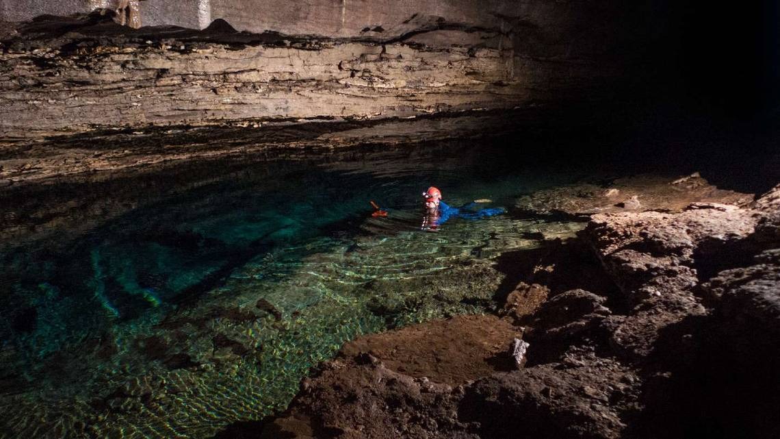 Misteriosa criatura que se temía extinta reapareció en oscura caverna de EEUU