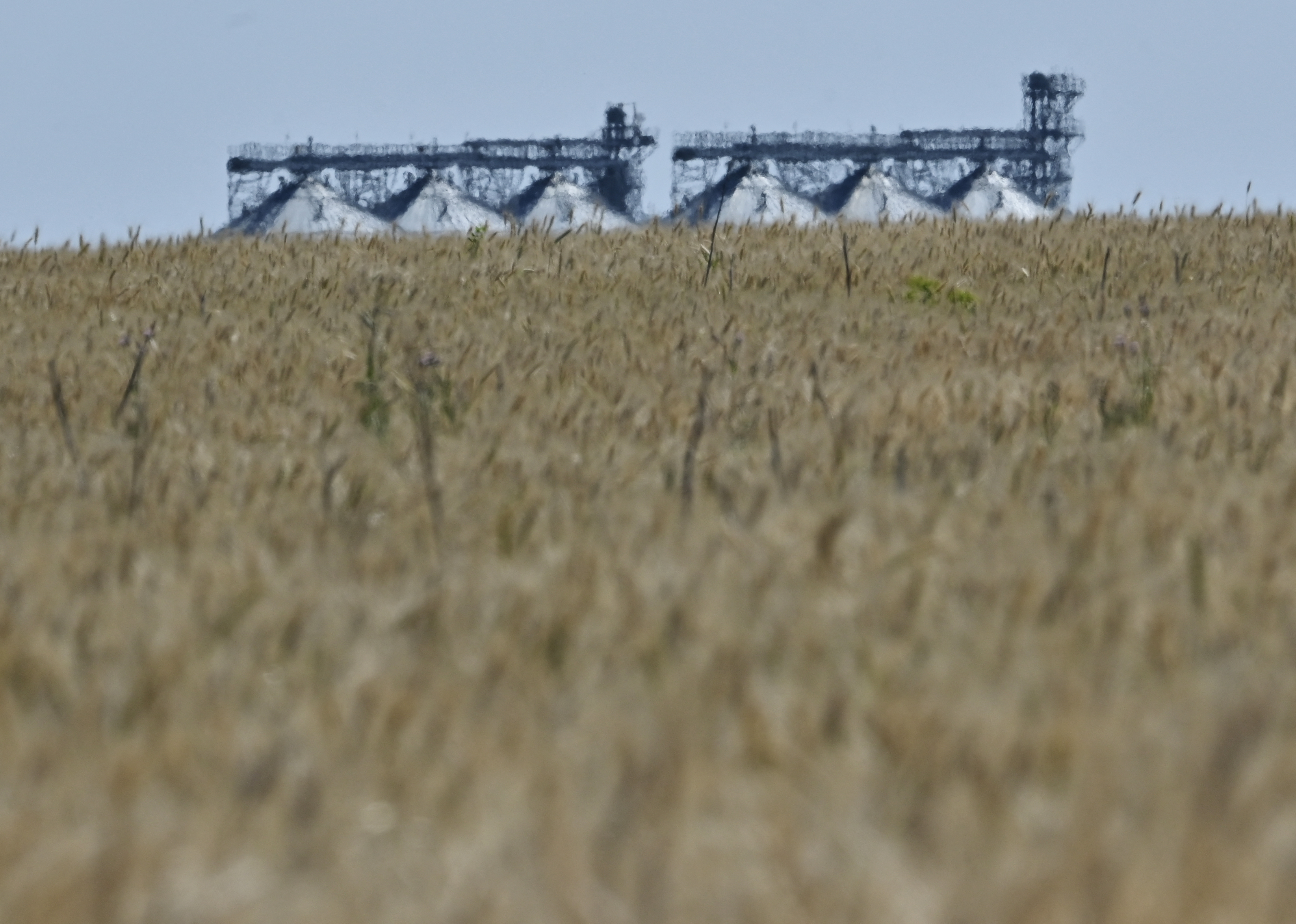 Rusia suspende su participación en el acuerdo sobre el grano ucraniano