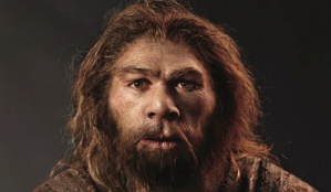 Un hallazgo en Israel modificó una teoría básica sobre la evolución: cómo salieron de África los antepasados del Homo sapiens