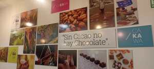 Cacao y cultura en un aromático rincón achocolatado de Altamira