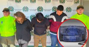 Al menos tres colombianos detenidos para extradición por contrabando de pieles exóticas