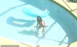 Aterrador momento en Florida: Ahogó a su chihuahua en una piscina y transmitió en vivo su cadáver