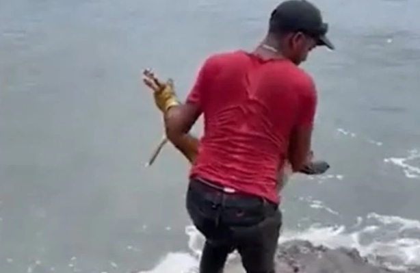 Repudio total: Quedó detenido tras arrojar el cadáver de un perro al mar para atraer tiburones
