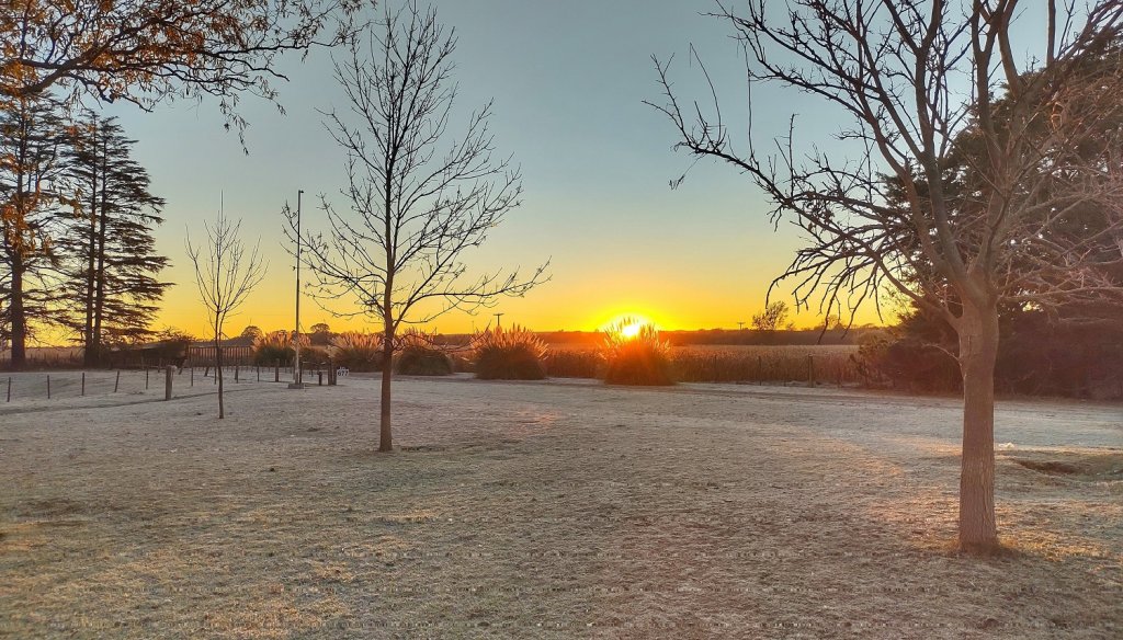 El Gobierno británico declara el estado de sequía en zonas de Inglaterra ante las altas temperaturas