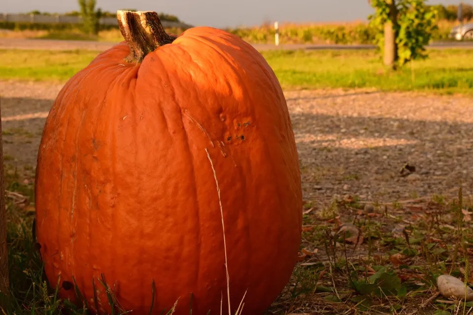 Navegó por el Río Misuri metido en una calabaza y rompió un récord que se creía imposible (VIDEO)