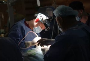 Hazaña en EEUU: Así fue el primer trasplante del mundo de cinco órganos completos a un paciente con cáncer