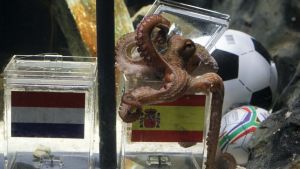 Qué pasó con el pulpo Paul, el oráculo animal que acertó la victoria de España en el Mundial 2010